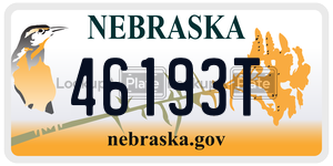 46193T  license plate in NE