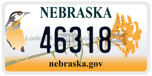 46318  license plate in NE