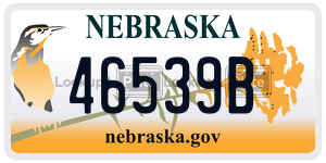 46539B  license plate in NE