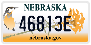 46813E  license plate in NE