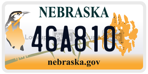 46A810  license plate in NE