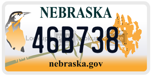 46B738 license plate in Nebraska