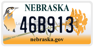 46B913  license plate in NE