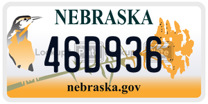 46D936  license plate in NE