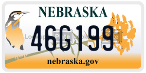 46G199  license plate in NE