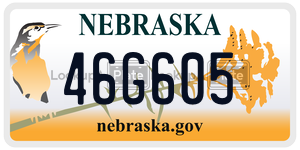 46G605  license plate in NE