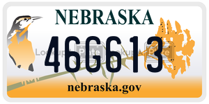 46G613  license plate in NE