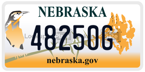 48250G  license plate in NE