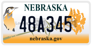 48A345  license plate in NE
