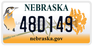 48D149  license plate in NE