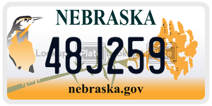 48J259  license plate in NE