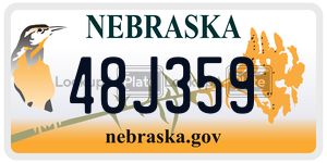 48J359  license plate in NE