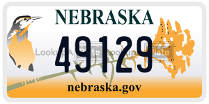 49129  license plate in NE