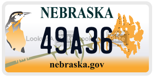 49A36  license plate in NE