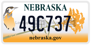 49C737  license plate in NE