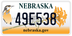 49E538  license plate in NE