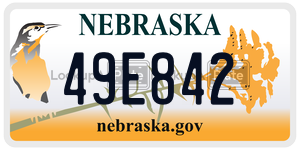 49E842  license plate in NE