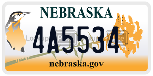 4A5534  license plate in NE