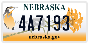 4A7193  license plate in NE