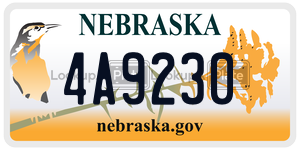 4A9230  license plate in NE