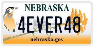 4EVER48  license plate in NE