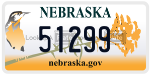 5-1299  license plate in NE