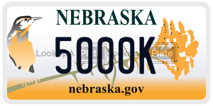 5000K  license plate in NE
