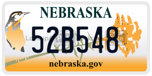 52B548  license plate in NE