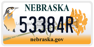 53384R  license plate in NE