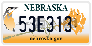 53E313  license plate in NE