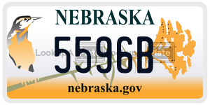 5596B  license plate in NE