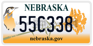 55C338  license plate in NE
