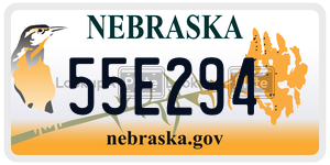 55E294  license plate in NE