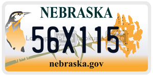 56X115  license plate in NE