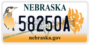 58250A  license plate in NE