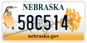58C514  license plate in NE