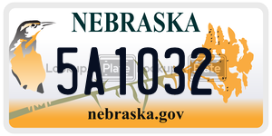 5A1032  license plate in NE
