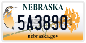 5A3890  license plate in NE
