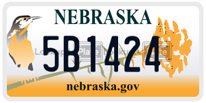5B1424  license plate in NE