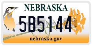 5B5144  license plate in NE