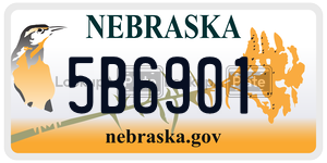5B6901  license plate in NE