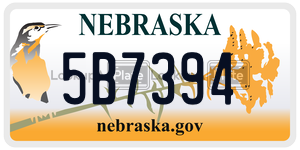 5B7394  license plate in NE