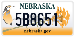 5B8651  license plate in NE