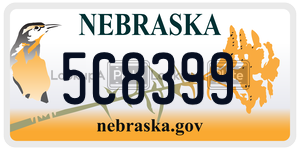 5C8399  license plate in NE