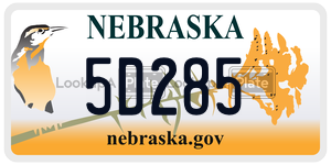 5D285  license plate in NE
