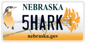 5HARK  license plate in NE