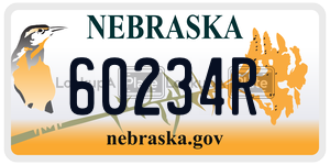 60234R  license plate in NE