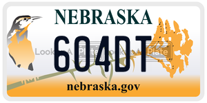 604DT  license plate in NE