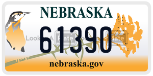 61390 license plate in Nebraska