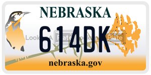 614DK  license plate in NE